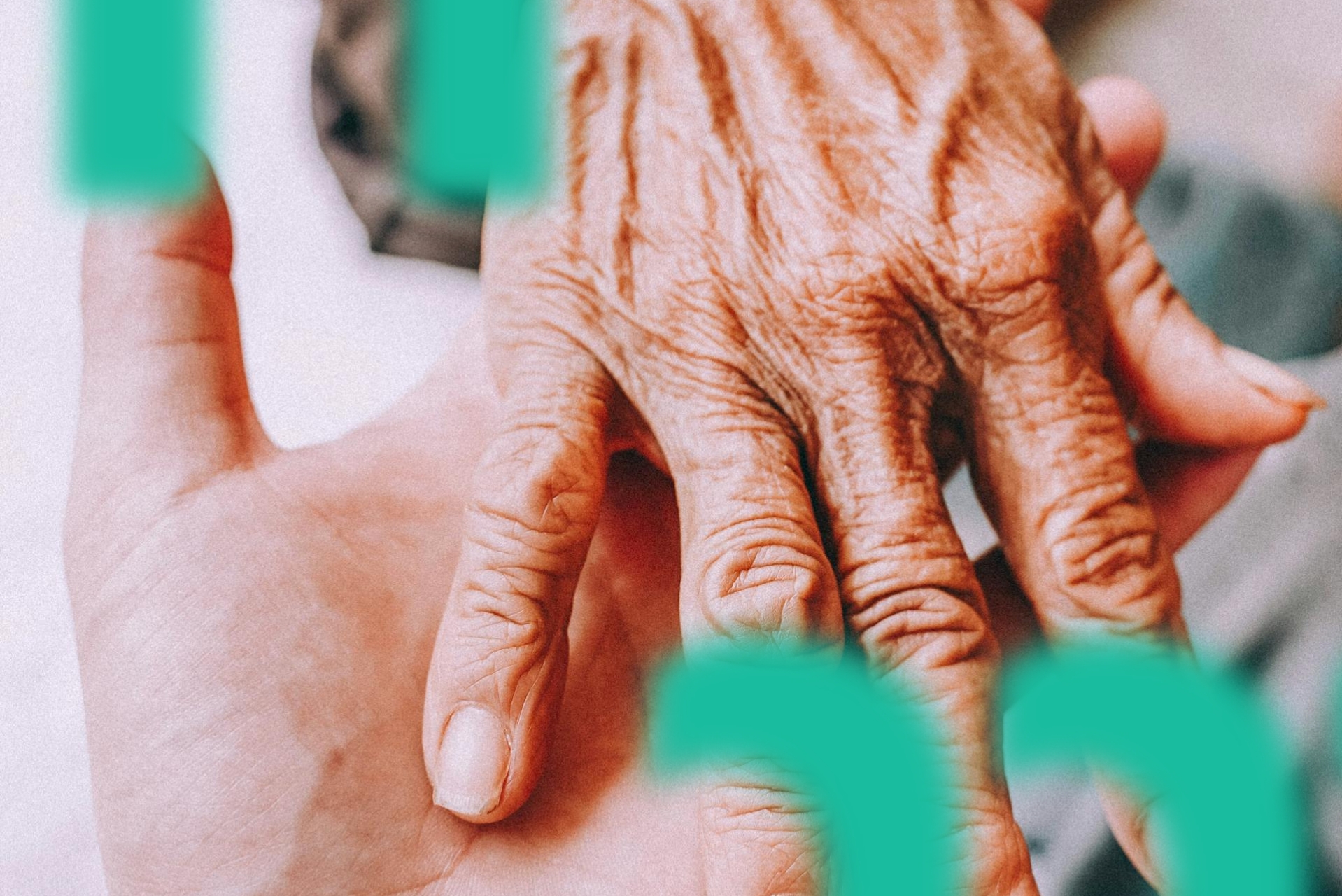 How to Prevent a Company Collapse During Generational Succession?